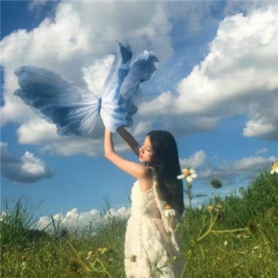 与森林共舞